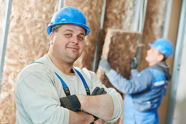 Best Insulation Installation Services in Rosemount, OH