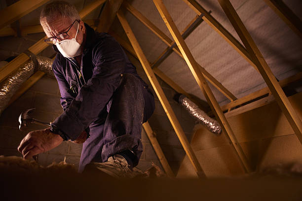 Best Types of Insulation in Rosemount, OH