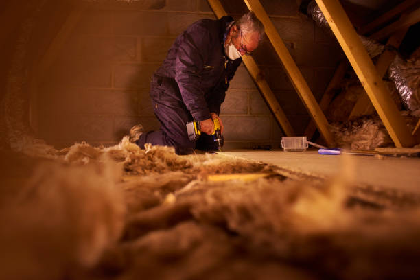 Best Insulation Maintenance and Repair in Rosemount, OH